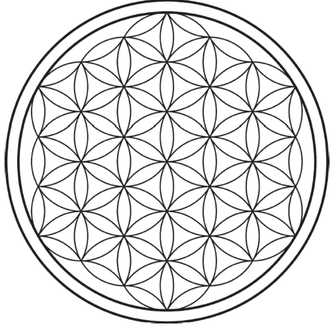 G03 — FLOR DA VIDA